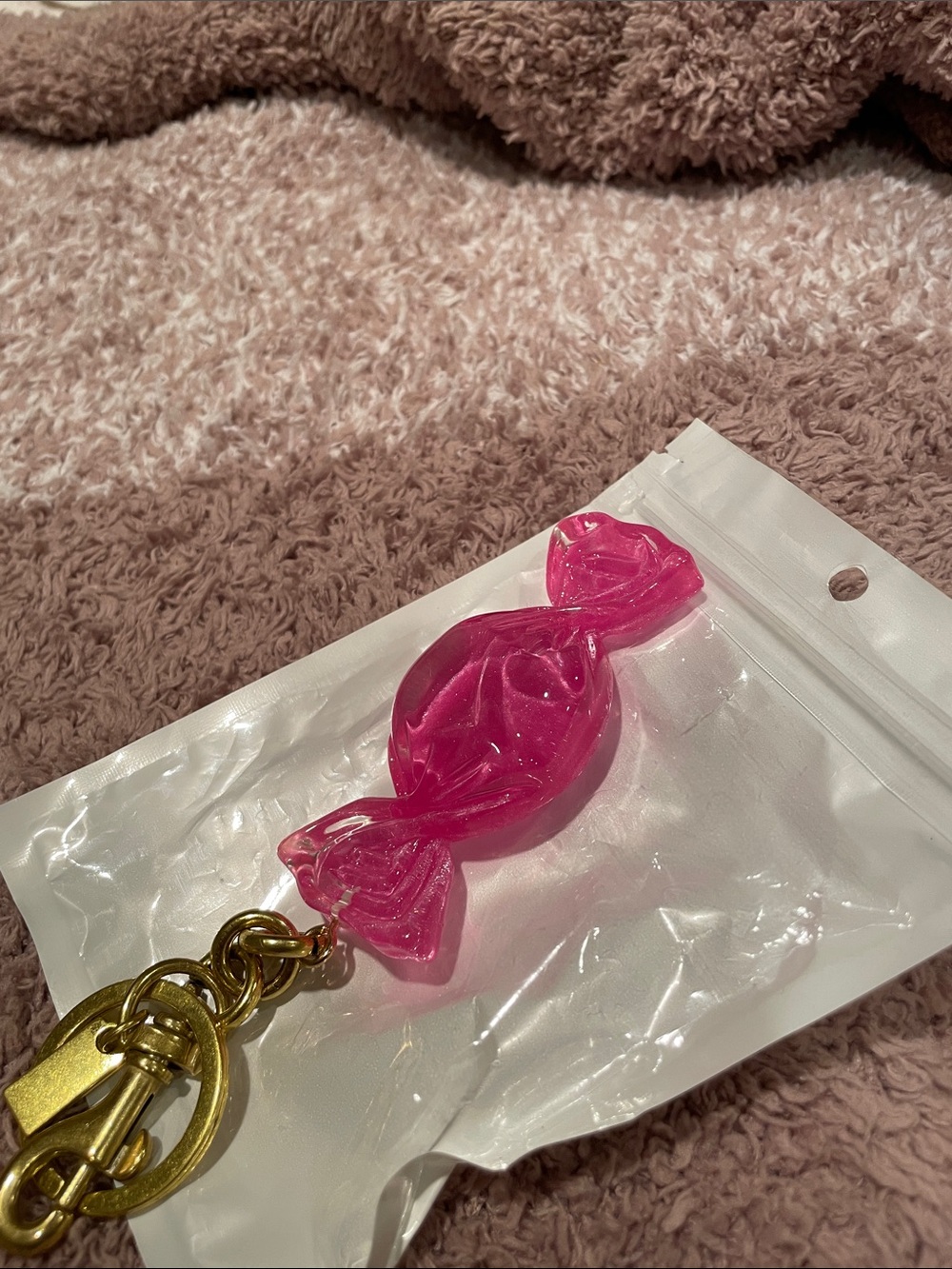 Candy bag charm/key holder. NWOT